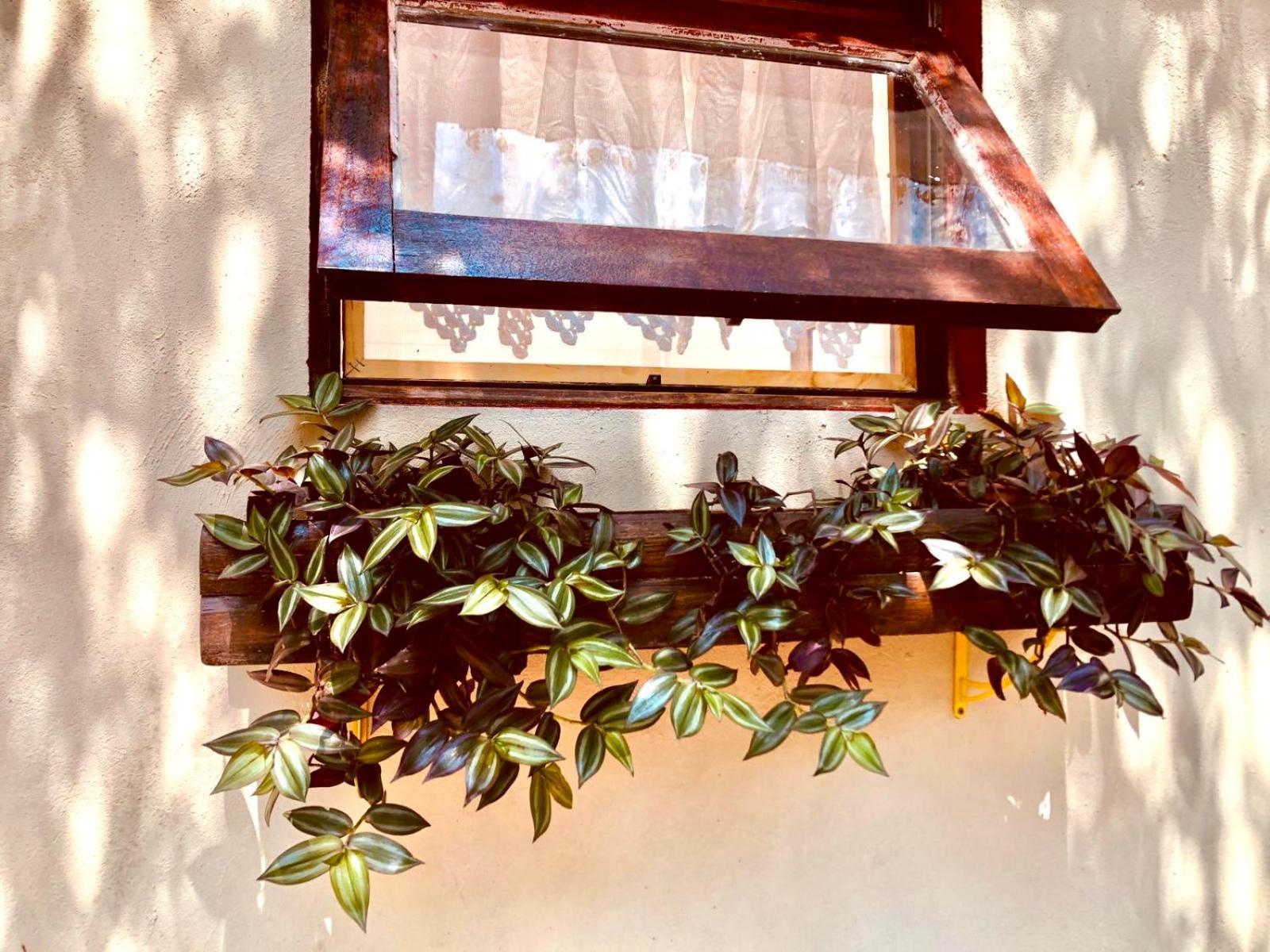 Casa Completa Em Chalé